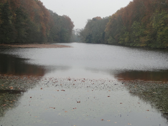 Pasar_herne_wandeling_edingen_-_deschuyffeleer__8_