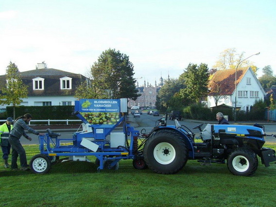 Editiepajot_dilbeek_bloembollen_foto_gerrit_achterland