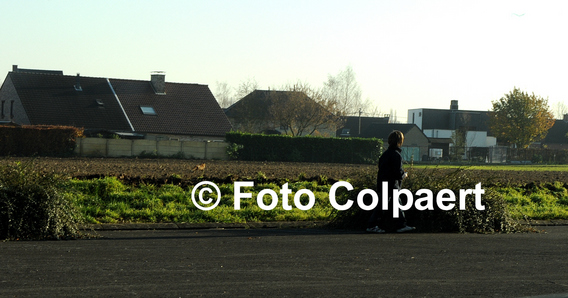 Editiepajot_galmaarden_vos_in_woonwijk_1_foto_marc_colpaert