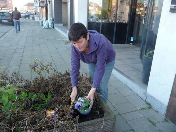 Editiepajot_ternat_bloembakken_verdienen_een_bloemetje_foto_gerrit_achterland