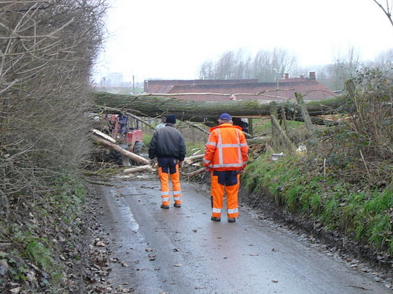 Editiepajot_ternat_stormschade_foto_gerrit_achterland__2_