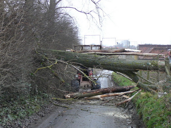 Editiepajot_ternat_stormschade_foto_gerrit_achterland__3_