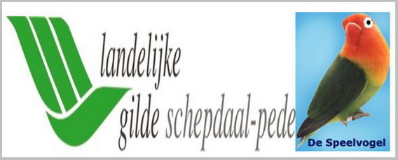 Landelijke_gilde_schepdaal_pede_de_speelvogel