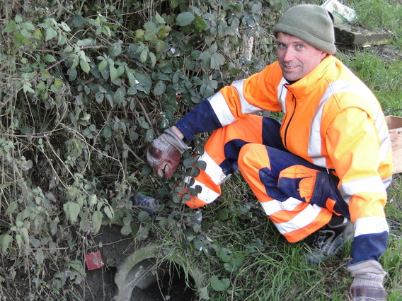Nieuwe_werkkrachten_bever_jan_2012__8_