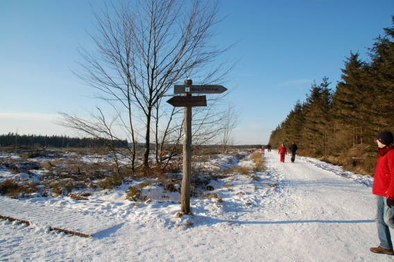 Editiepajot_gooik_oetingen_winterwandeling_vtb_vab_foto_gerrit_achterland