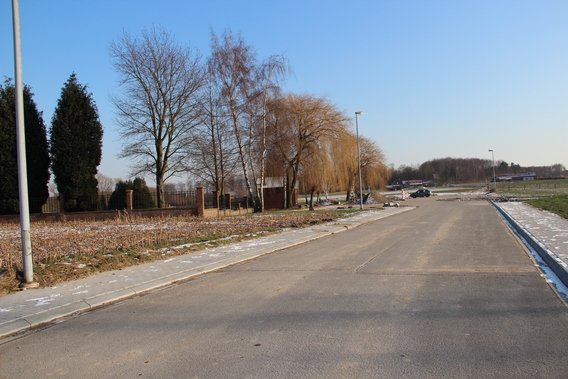 Dorpsverfraai_ng_2012_kerkhof_herne__16_