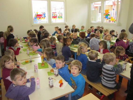 Editiepajot_liedekerke_gezonde_week_dolfijn_foto_jacky_delcour__1_