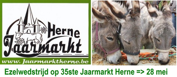 Aankondiging_ezelwedstrijd
