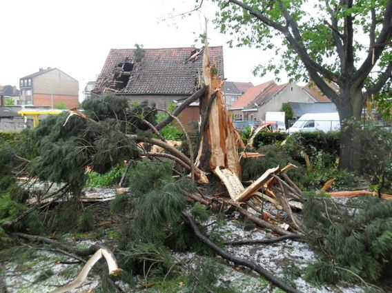 Editiepajot_merchtem_ravage_door_blikseminslag_foto_ingezonden