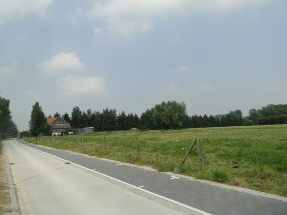 Dsc09523