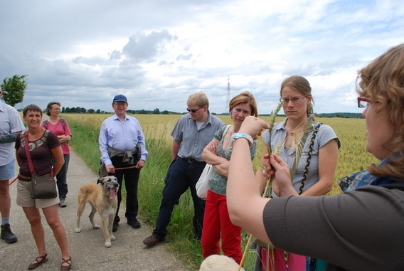 Editiepajot_ternat_wandelen_trage_wegen_foto_guido_van_cauwelaert