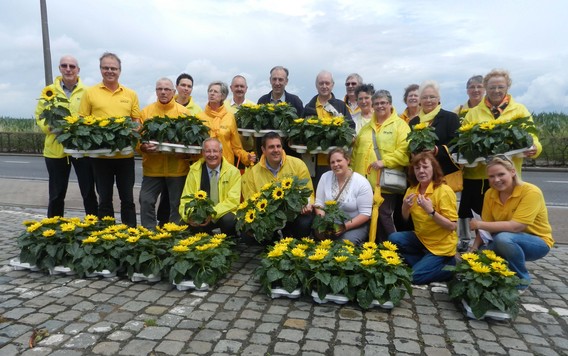 Editiepajot_leeuw_zonnebloemen