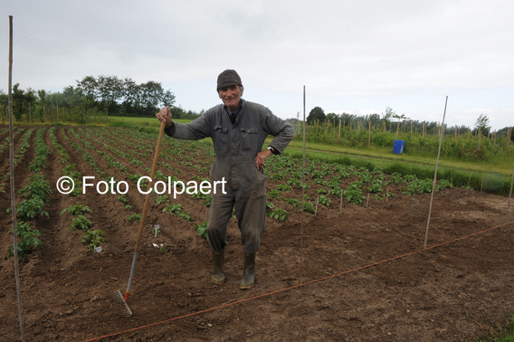 Editiepajot_gooik_piet_foto_marc_colpaert