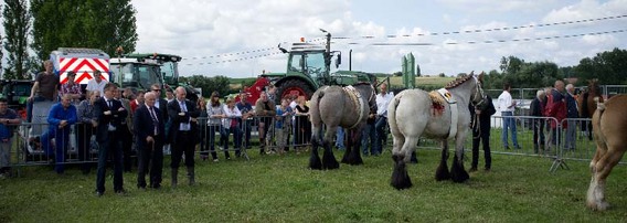Editiepajot_bogaarden_erwin_alsteens_1