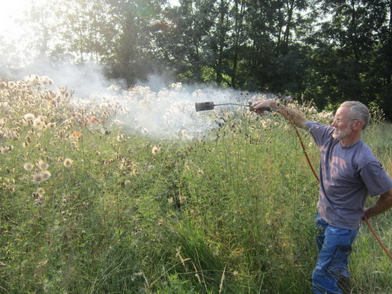 Editiepajot_gooik_natuurpunt_distels_vlammenwerper_ingezonden_foto__1_