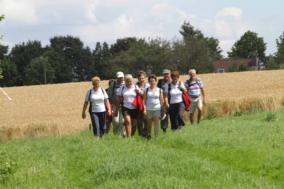 Editiepajot_pepingen_wandelen