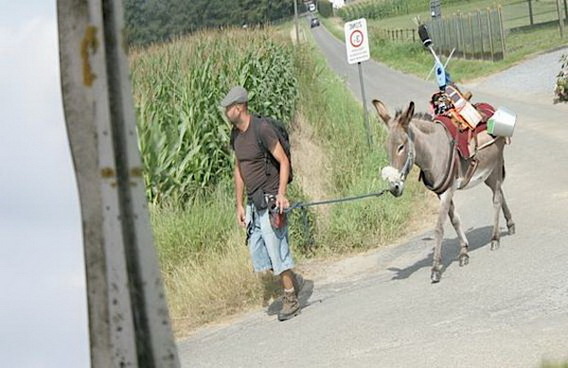 Editiepajot_gooik_dilbeek_brussel_sideways__ingezonden_foto