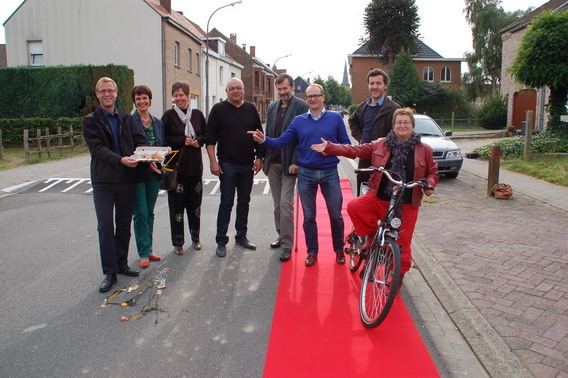 Editiepajot_bart_devill__nva_actie_huizingen