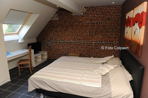 Editiepajot_galmaarden_bed_2_foto_marc_colpaert__kopie_