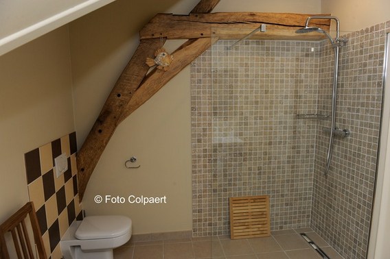 Editiepajot_galmaarden_bed_3_foto_marc_colpaert__kopie_