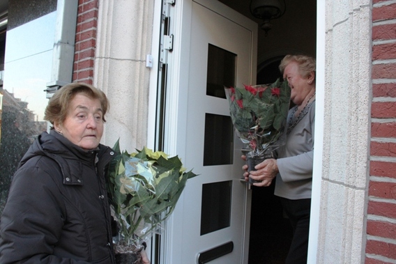 Editiepajot_liedekerke_kerstrozen__ziekenzorg_cm_foto_jacky_delcour