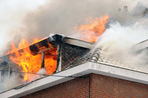 Leeuw_brand_vancottem_1
