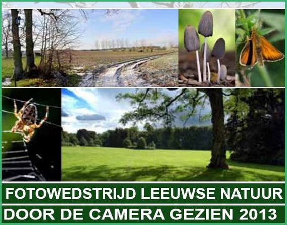 Editiepajot_sint-pieters-leeuw_fotowedstrijd_leeuwse_natuur_foto_ep