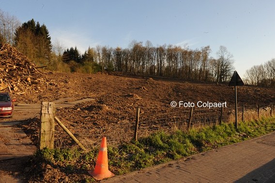 Editiepajot_gooik_natuuurpunt_kapt_foto_marc_colpaert__kopie_