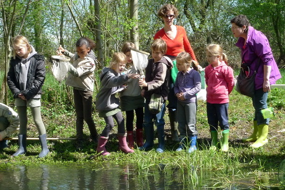 Editiepajot_affligem_liedekerke_natuurwandeling_gezinsbond_teralfene_essene_foto_ingezonden