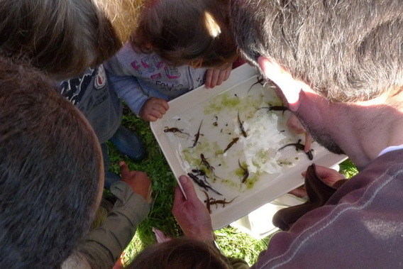 Editiepajot_affligem_liedekerke_natuurwandeling_gezinsbond_teralfene_essene_foto_ingezonden__3_