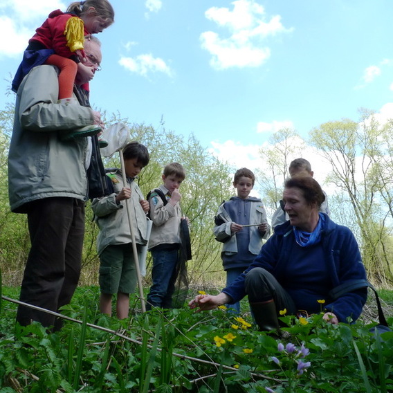 Editiepajot_affligem_liedekerke_natuurwandeling_gezinsbond_teralfene_essene_foto_ingezonden__4_