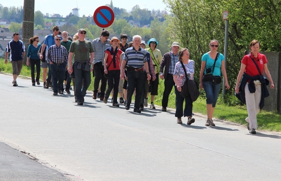 Editiepajot_affligem_wandeling_koudenbergbeek_foto_jacky_delcour__1_