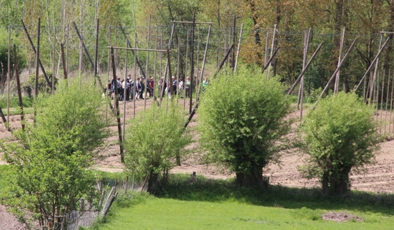Editiepajot_affligem_wandeling_koudenbergbeek_foto_jacky_delcour__2_