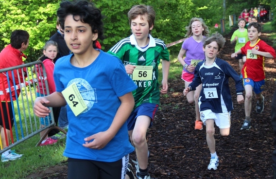Editiepajot_liedekerke_denderloop_verslag_2013_foto_jacky_delcour__3_