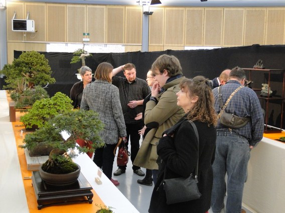 Bonza___als_kunst_edingen_2013__14_