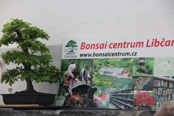 Bonza___als_kunst_edingen_2013__31_