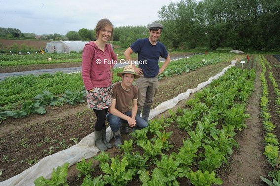 Editiepajot_gooik_groentelaar_foto_marc_colpaert__kopie_