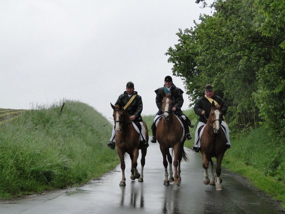 Paardenprocessie_herfelingen_mei_2013_gdg___25_
