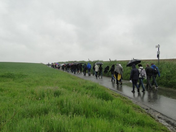 Paardenprocessie_herfelingen_mei_2013_gdg___1_