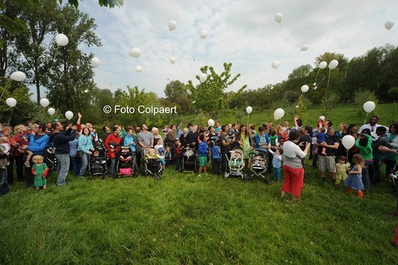 Editiepajot_gooik_boomgaard_foto_marc_colpaert__kopie_
