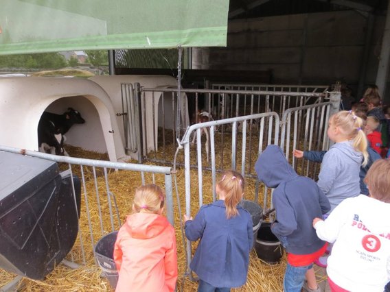 Editiepajot_liedekerke_dol-fijn_op_de_boerderij_foto_jacky_delcour__2_