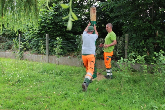 Editiepajot_liedekerke_vogelhuisjes_op_het_peehooppleintje_foto_jacky_delcour__1_