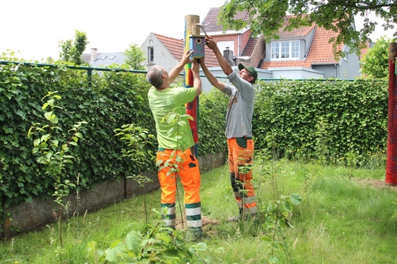 Editiepajot_liedekerke_vogelhuisjes_op_het_peehooppleintje_foto_jacky_delcour__4_
