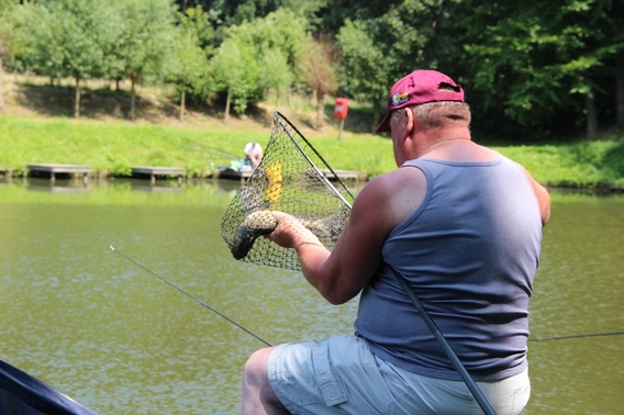 Editiepajot_affligem_viskampioenen_juli_2013_foto_jacky_delcour__2_