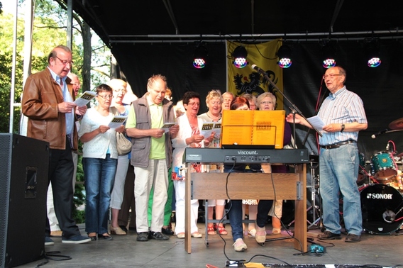 Editiepajot_liedekerke_11_juliviering_2013_warandepark_foto_jacky_delcour__1_