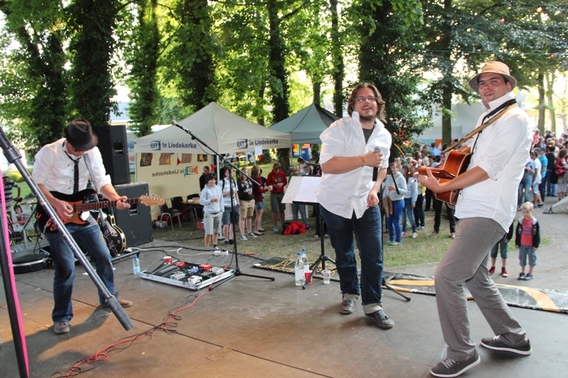 Editiepajot_liedekerke_11_juliviering_2013_warandepark_foto_jacky_delcour__4_