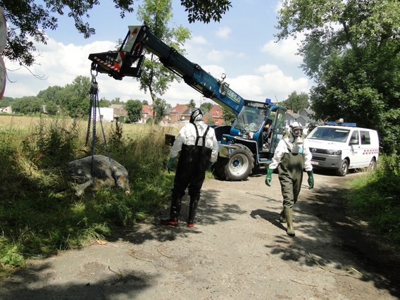 Rund_in_de_maqrke_aug_2013_gdg__4_