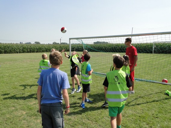 Acp_bever_2013___6_