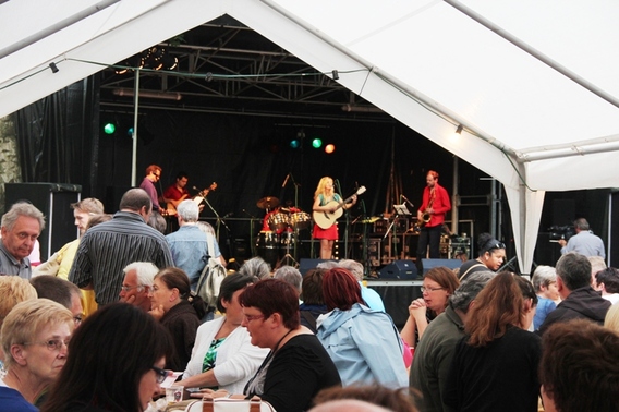 Editiepajot_liedekerke_versalg_tinga_tinga_2013_foto_jacky_delcour__8_