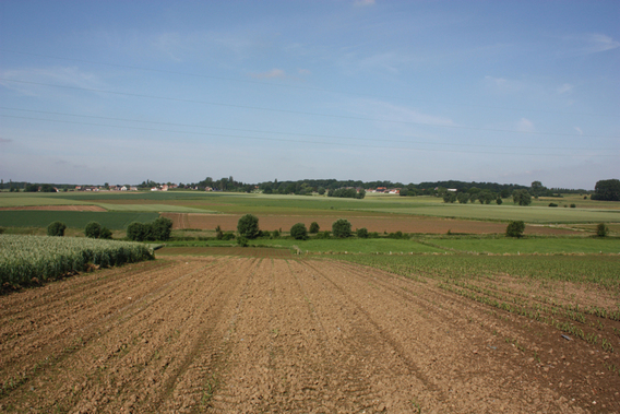 Muydt